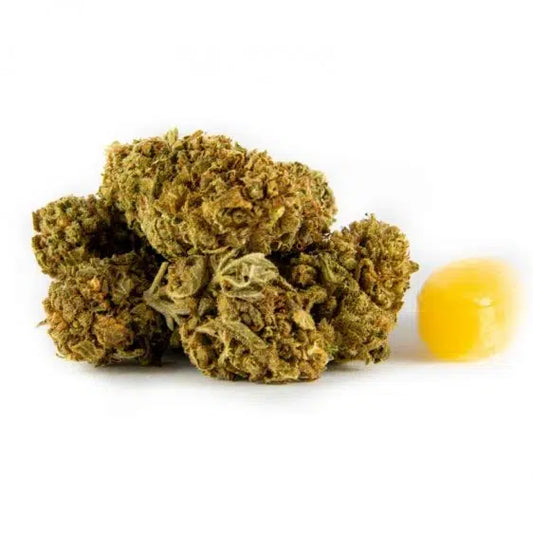 Amnesia Haze