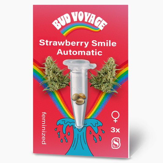 Hanfsamen BudVoyage Strawberry Smile Auto