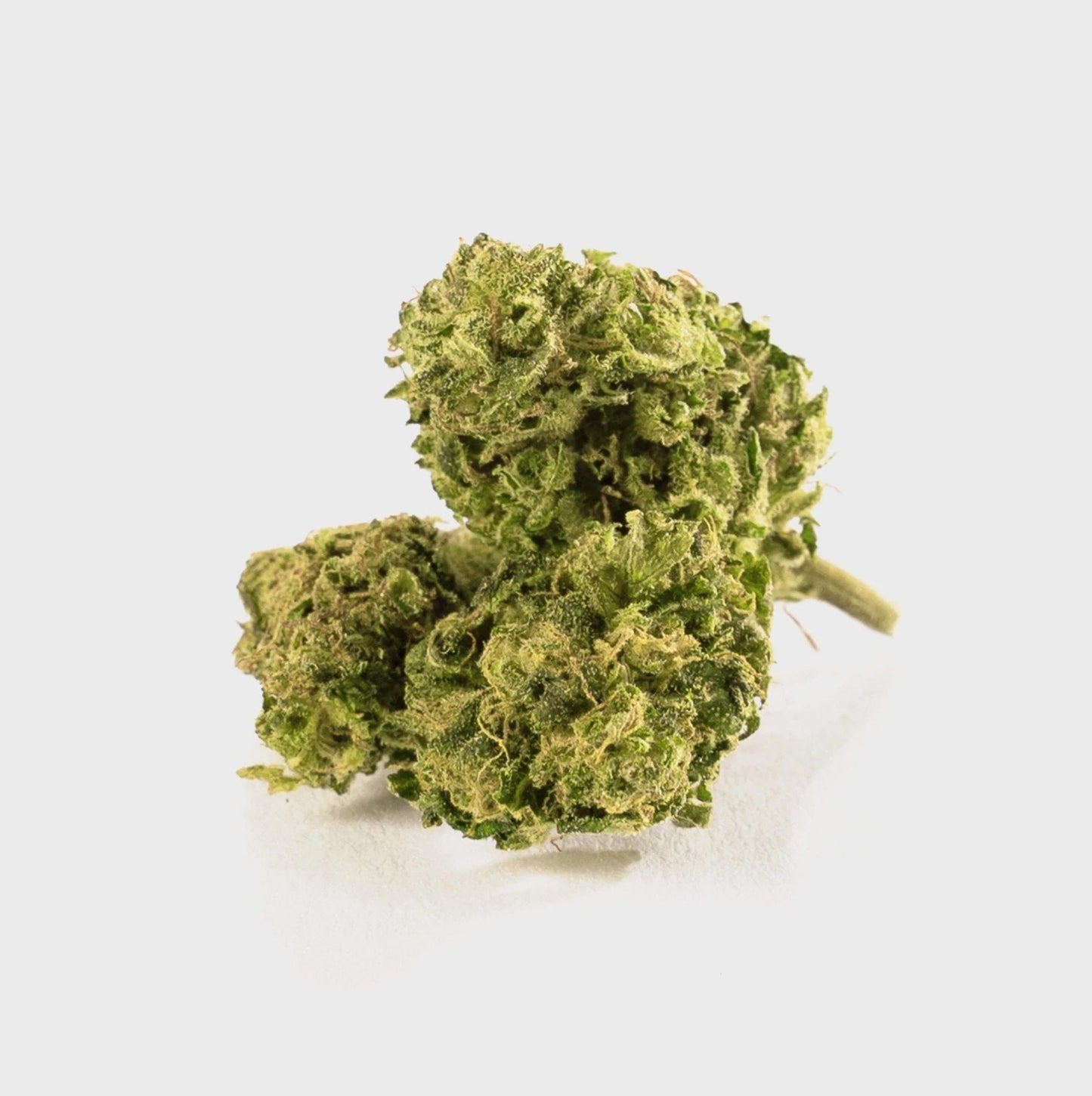 sper lemon haze